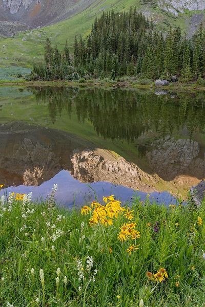 Jaynes Gallery 아티스트의 USA-Colorado-Uncompahgre National Forest Mountain and forest sunrise reflects in lake작품입니다.